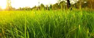 health insurance Kansas City